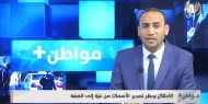 الاحتلال يحظر تصدير الأسماك من غزة إلى الضفة