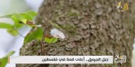 جبل الجرمق.. أعلى قمة في فلسطين