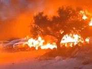 مستعمرون يحرقون 15 دونما في سبسطية شمال غرب نابلس