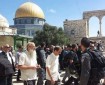 مستوطنون يقتحمون المسجد الأقصى تحت حماية الاحتلال