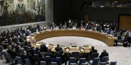 اجتماع طارئ ثالث لمجلس الأمن الدولي لبحث العدوان على غزة غدا الجمعة