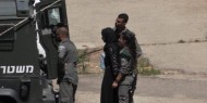 رام الله: الاحتلال يعتقل مواطنة بعد استدعائها للتحقيق