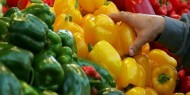 أسعار الخضروات والدواجن في أسواق غزة