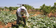 انتهاكات الاحتلال بحق مزارعي غزة بداية العام الجاري