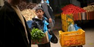أسعار المنتجات الزراعية في قطاع غزة اليوم الأربعاء