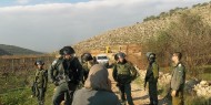 قوات الاحتلال تستولي على 5 جرارات زراعية أثناء عملها في "الأغوار"