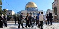 المجلس الوطني يدين قرار السماح لليهود بالصلاة في باحات الأقصى