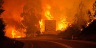 حرائق الغابات تشتعل في 5 ولايات بأستراليا