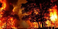 منظمة أممية: كاليفورنيا تكافح أكبر حرائق غابات