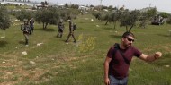 جيش الاحتلال يستولي على أرض زراعية في جنين