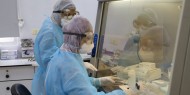 صحة غزة: لا إصابات بفيروس كورونا بعد إجراء 30 عينة