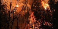 فرق الإطفاء تحرز تقدما في مكافحة حرائق الغابات في كاليفورنيا