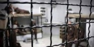الأسير محمد عامودي يدخل عامه الـ16 في سجون الاحتلال