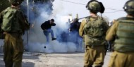خاص بالفيديو|| ترحيب فلسطيني بقرار الجنائية الدولية فتح تحقيق في جرائم حرب بالأراضي المحتلة