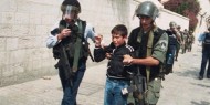 جيش الاحتلال يعتقل طفلا شرق طوباس