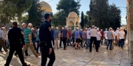 79 مستوطنا وطالبا يهوديا يداهمون المسجد الأقصى
