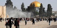 محافظ القدس يحذر من تفجر الأوضاع في القدس الخميس المقبل