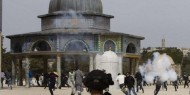 بالفيديو|| قوات الاحتلال تقتحم المسجد الأقصى وتستهدف المصلين بالرصاص المطاطي