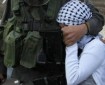 الاحتلال يعتقل فتيين في القدس