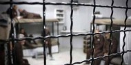 ارتفاع قائمة عمداء الأسرى في سجون الاحتلال إلى 452 أسيرا