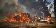 13 قتيلا بحرائق غابات في تشيلي