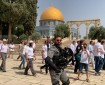 عشرات المستعمرين يقتحمون المسجد "الأقصى" بحماية من جيش الاحتلال