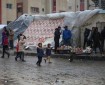 الصوفي: رفح ستعاني من حمام دم كبير في حال اجتاحت «إسرائيل» المدينة
