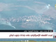 مراسلتنا: حزب الله يقول إن عملية عرب العرامشة نوعية ومركبة